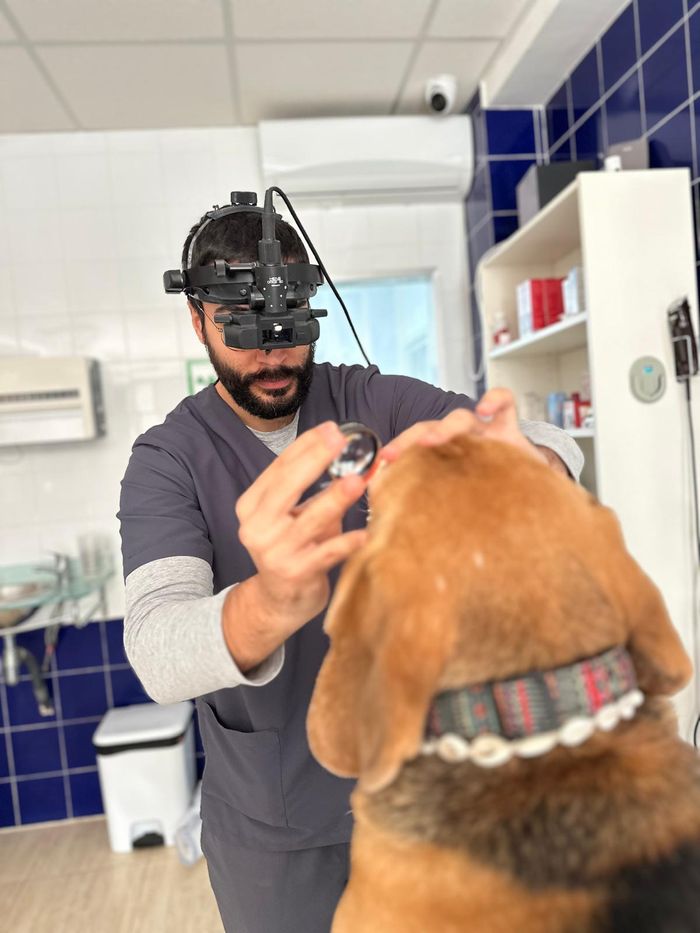 Veterinarios Carboneras