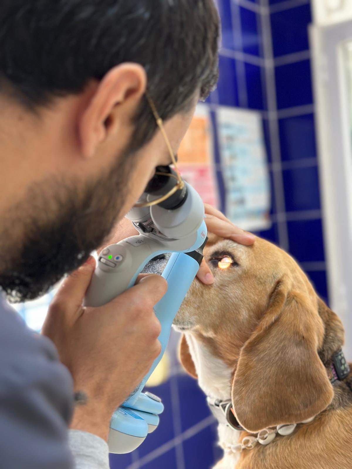 Veterinarios Carboneras